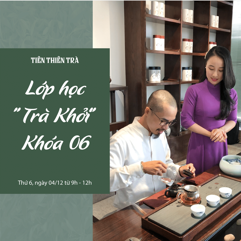 Trà Shan Tuyết là gì? Tìm Hiểu Vê Văn Hóa Trà Cổ San Tuyết
