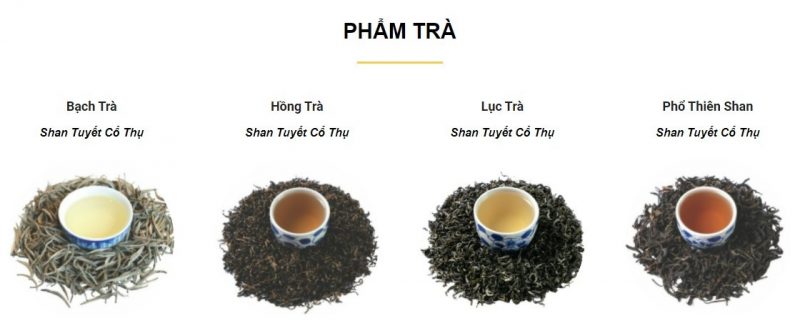 Quá trình lên men và oxy hóa của trà Shan tuyết