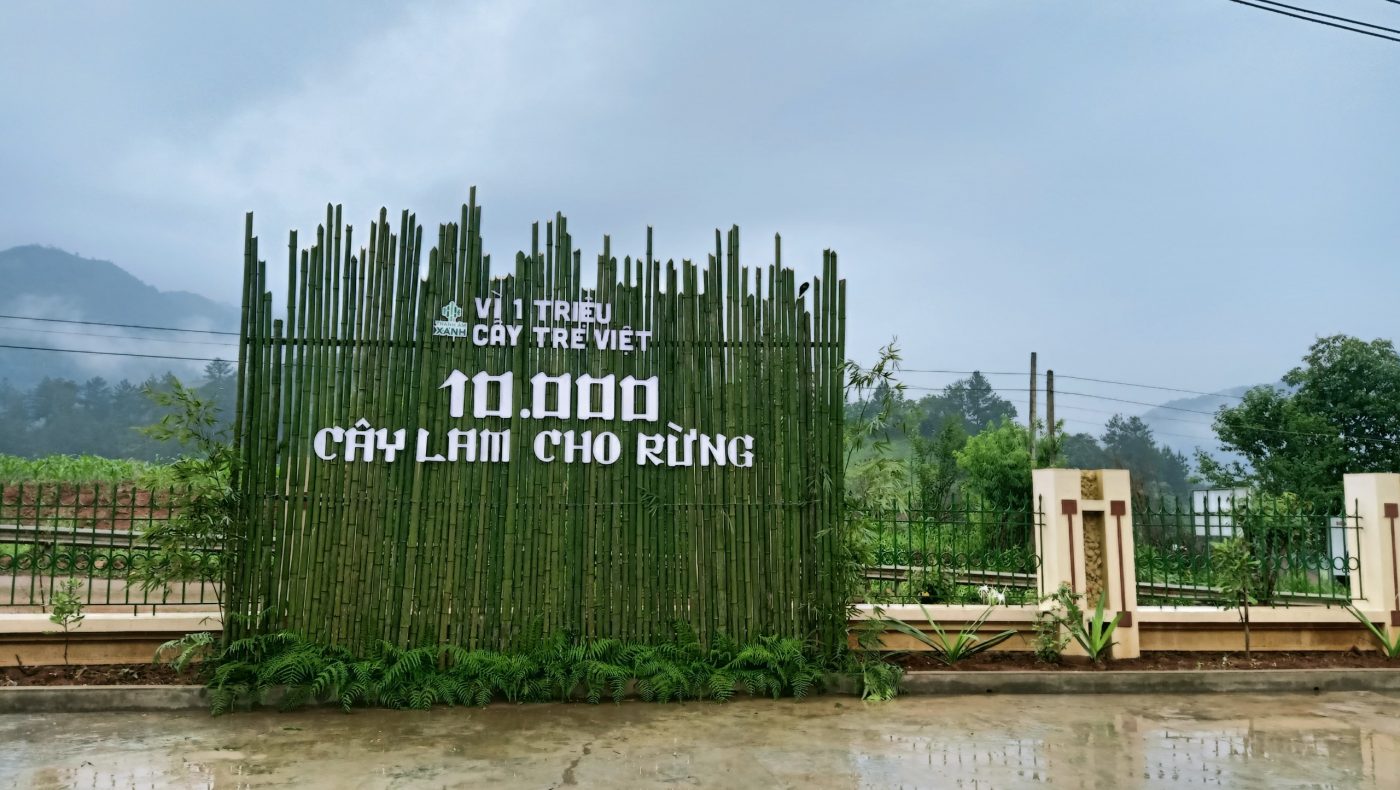 Thanh âm xanh - Vì 1 triệu cây tre Việt