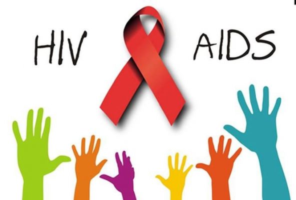 Trà cổ thụ có tác dụng gì đối với HIV