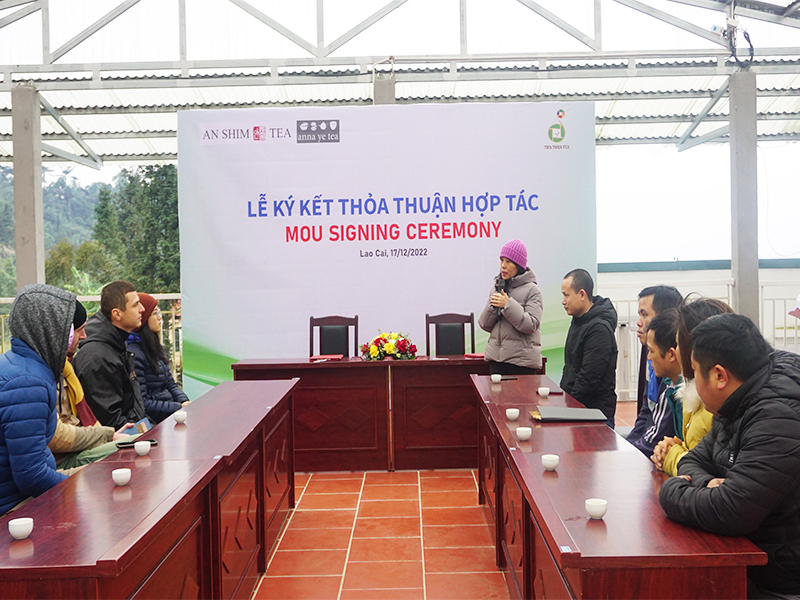 Rộng cửa cho Trà Shan Tuyết Việt ra thế giới